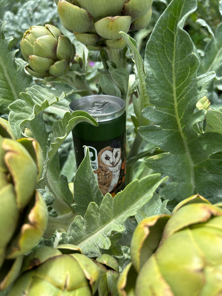 Clarens Vino Dry White Wine in a tin (Set of 4) Clarens Interiors