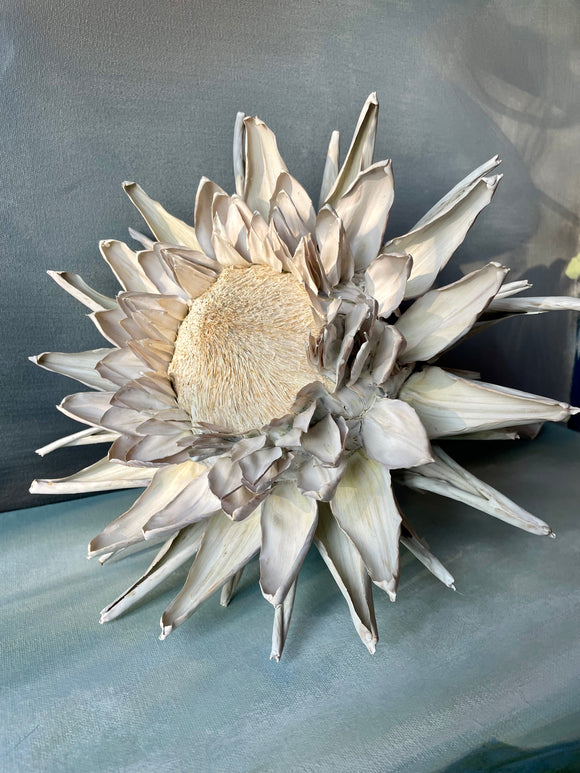Forever Joy Artichoke - White Bloom, extra large