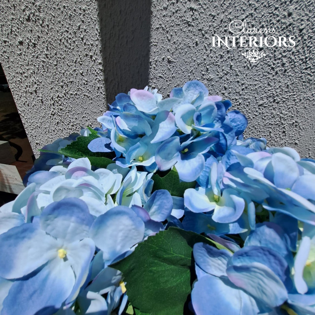 Hydrangea - Medium Blue