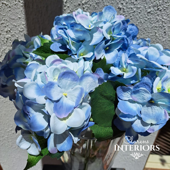 Hydrangea - Medium Blue