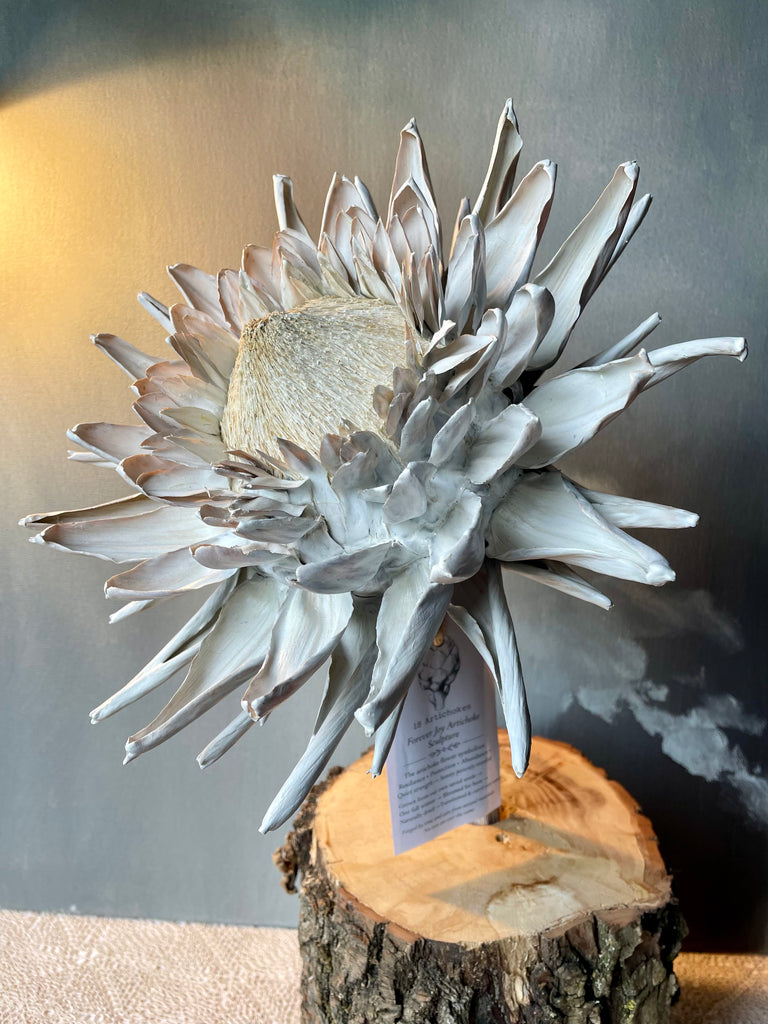 Forever Joy Artichoke - White Bloom, extra large