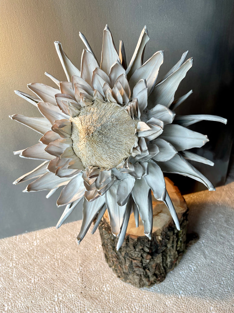 Forever Joy Artichoke - White Bloom, extra large