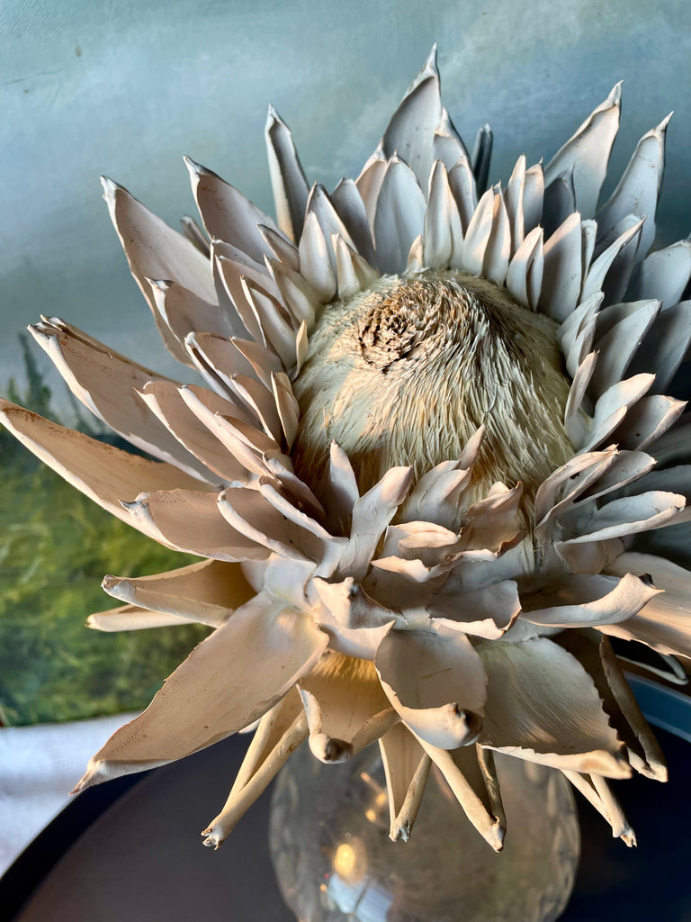 Forever Joy Artichoke - White Bloom, large