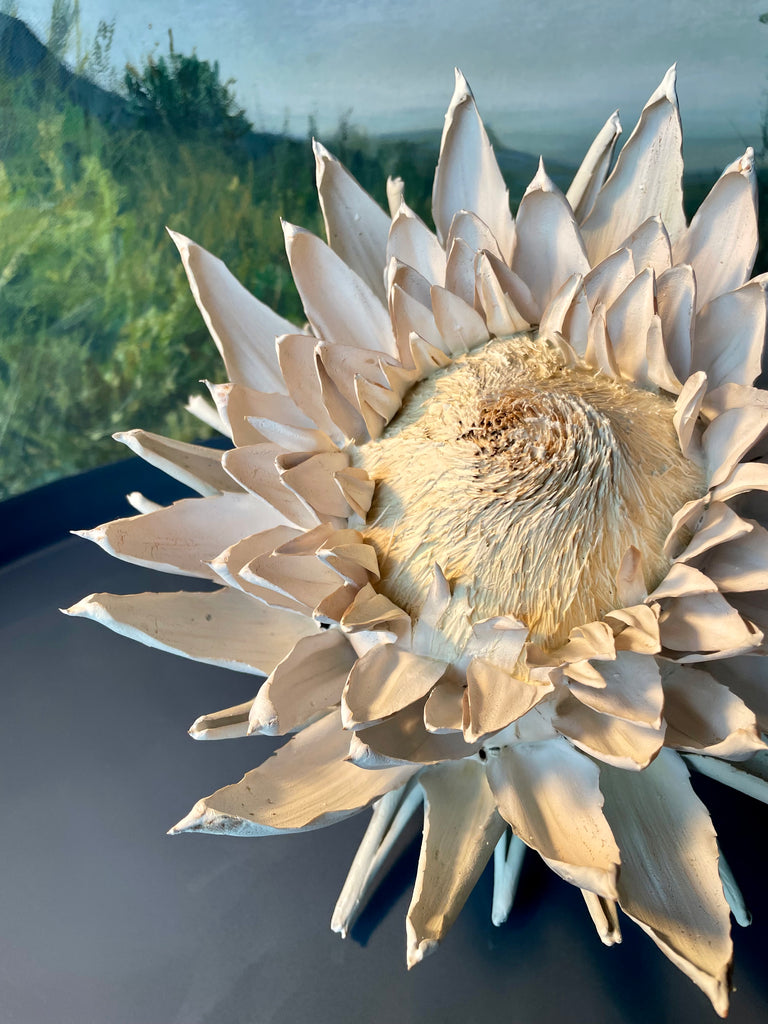 Forever Joy Artichoke - White Bloom, large