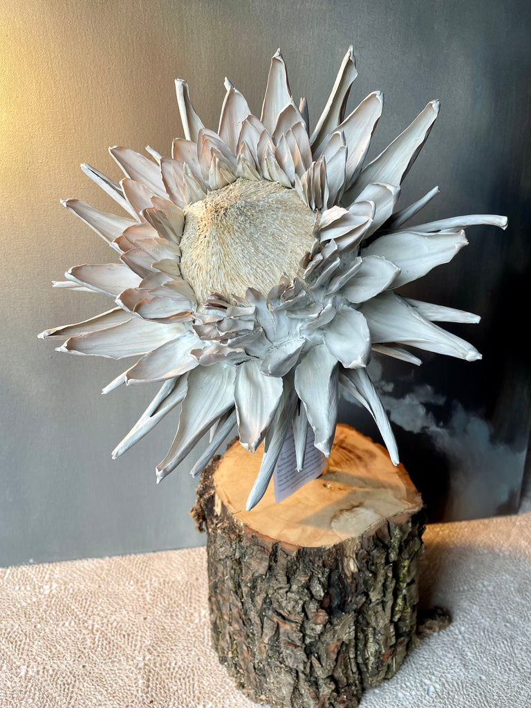 Forever Joy Artichoke - White Bloom, extra large