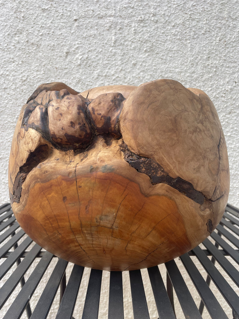 Heartwood Hollow - Saligna masterpiece by Louis Hartley