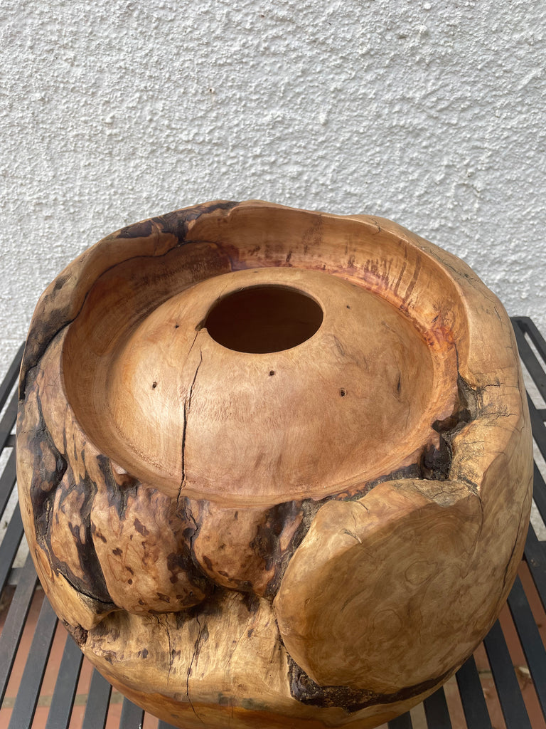 Heartwood Hollow - Saligna masterpiece by Louis Hartley