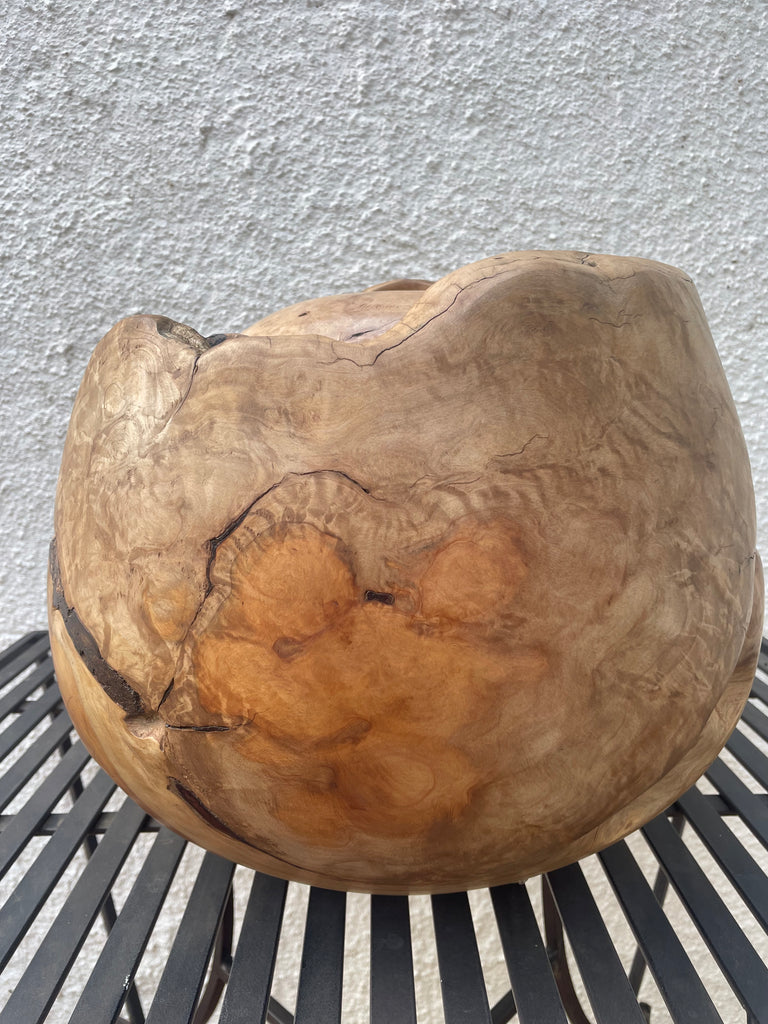 Heartwood Hollow - Saligna masterpiece by Louis Hartley
