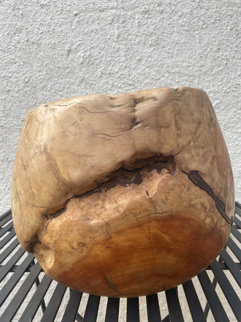 Heartwood Hollow - Saligna masterpiece by Louis Hartley