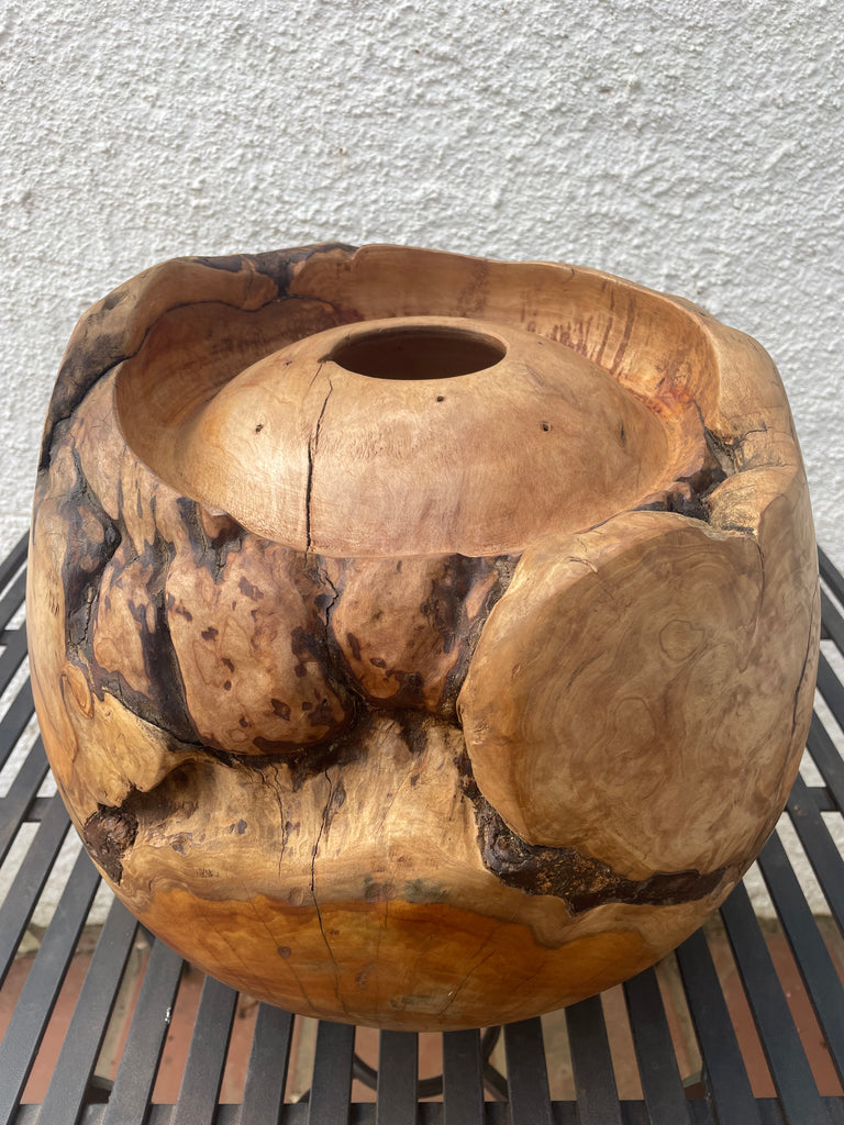 Heartwood Hollow - Saligna masterpiece by Louis Hartley