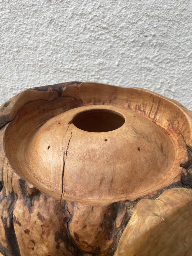 Heartwood Hollow - Saligna masterpiece by Louis Hartley