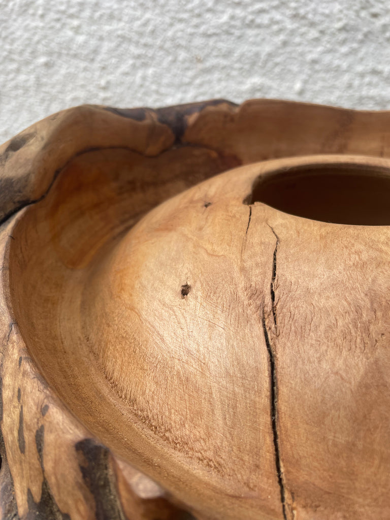 Heartwood Hollow - Saligna masterpiece by Louis Hartley