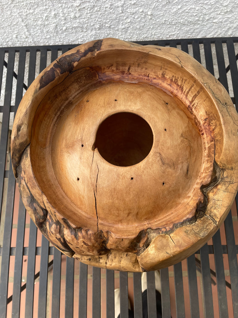 Heartwood Hollow - Saligna masterpiece by Louis Hartley
