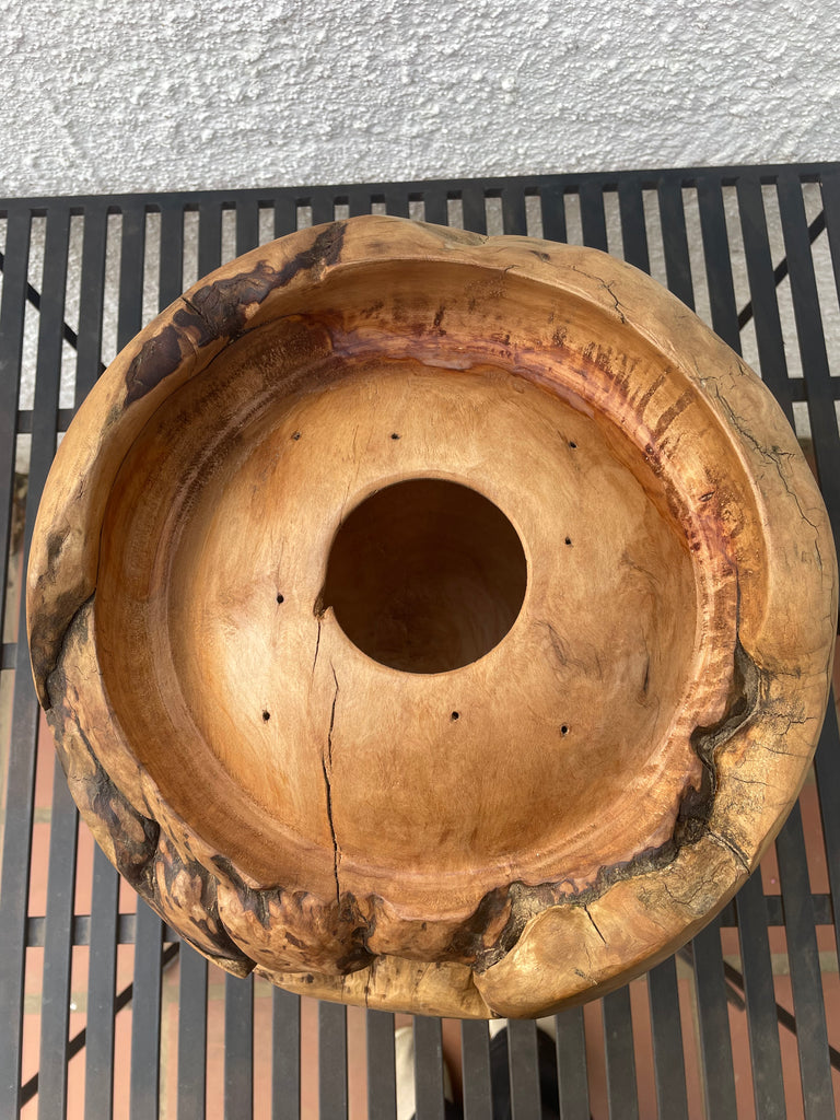 Heartwood Hollow - Saligna masterpiece by Louis Hartley