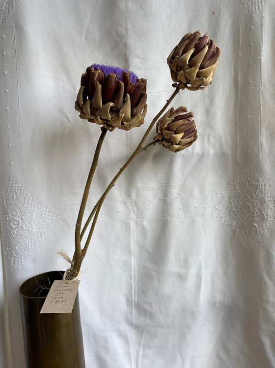 Dried Artichoke stem with buds no. 1