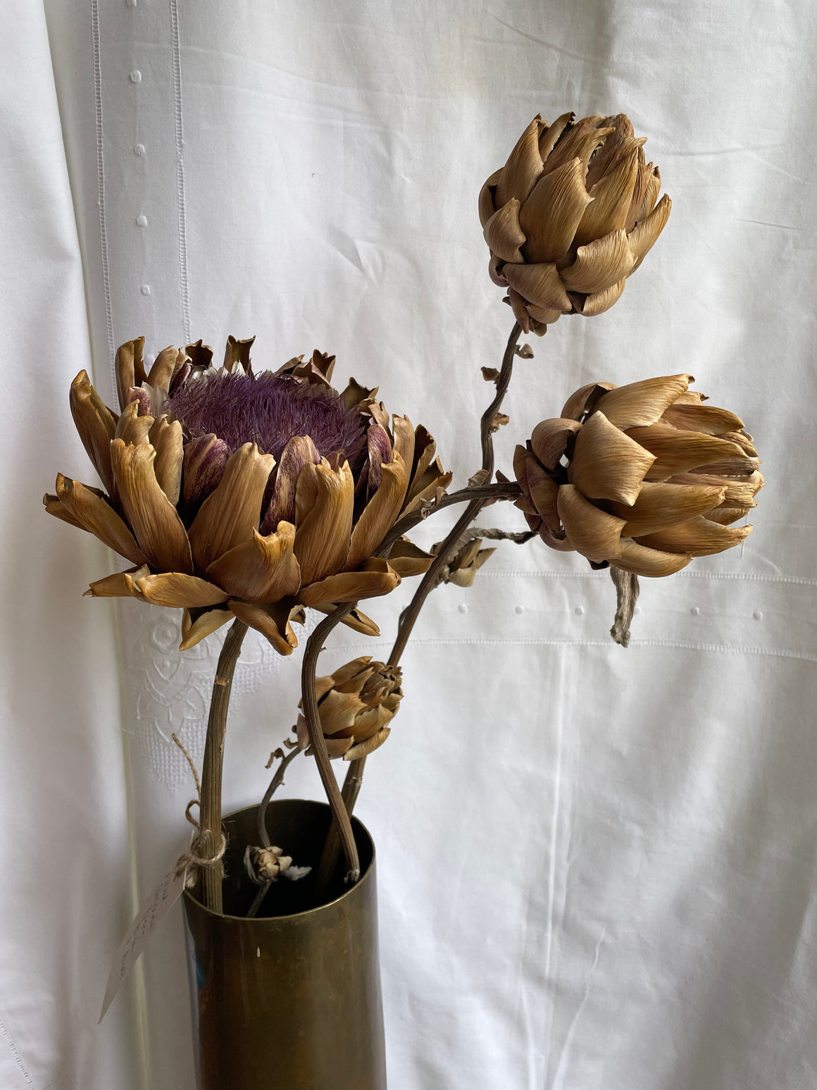 Dried Artichoke stem with buds - no. 2