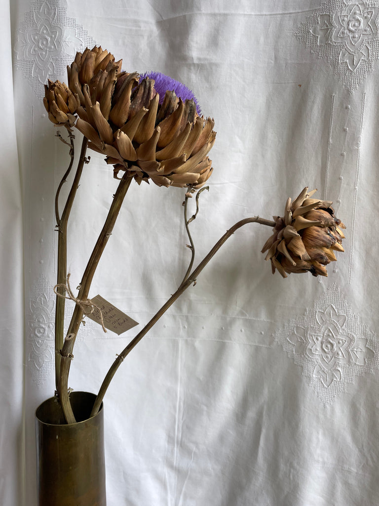Dried Artichoke stem with buds - no. 3