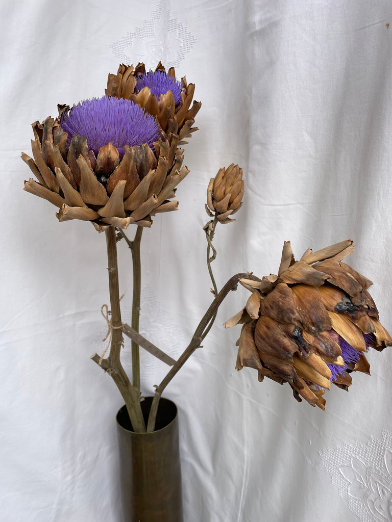 Dried Artichoke stem with buds - no. 3