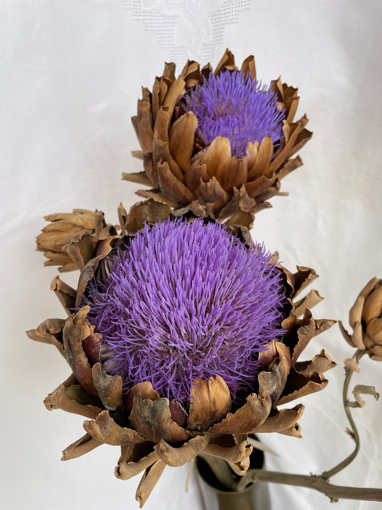 Dried Artichoke stem with buds - no. 3