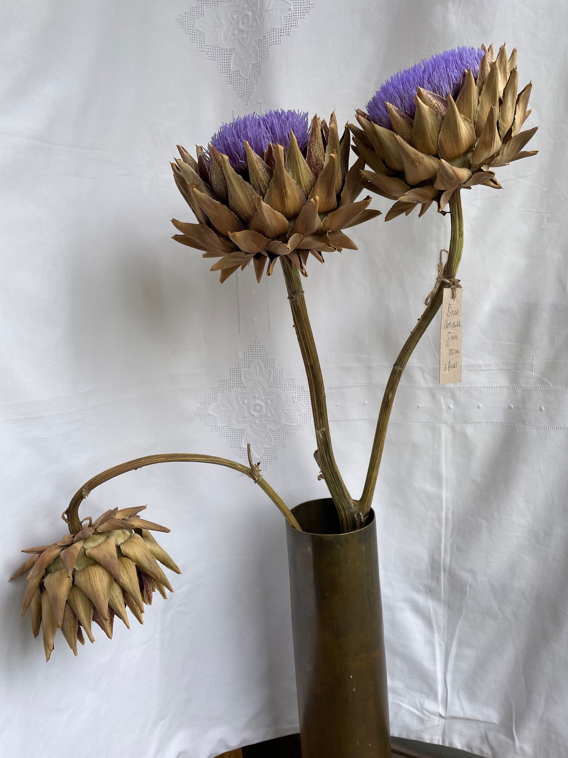 Dried Artichoke stem with buds - no. 4