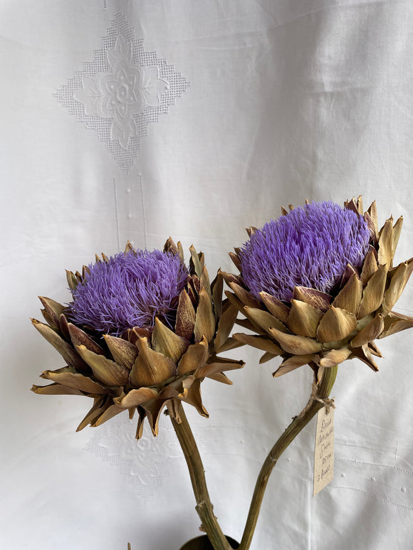 Dried Artichoke stem with buds - no. 4