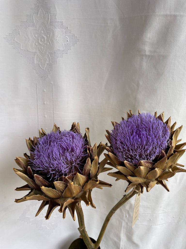 Dried Artichoke stem with buds - no. 4