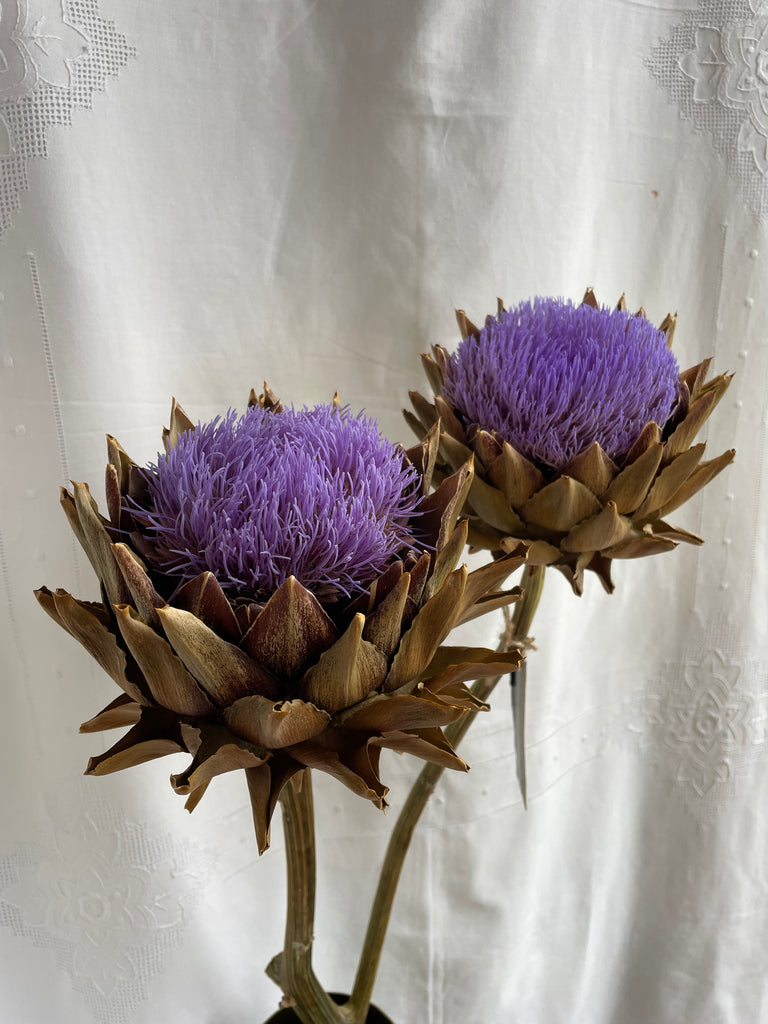 Dried Artichoke stem with buds - no. 4