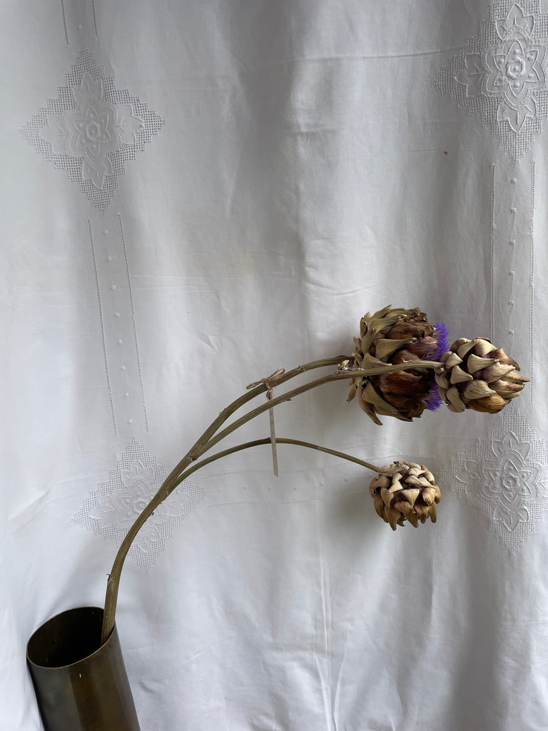 Dried Artichoke stem with buds - no. 5