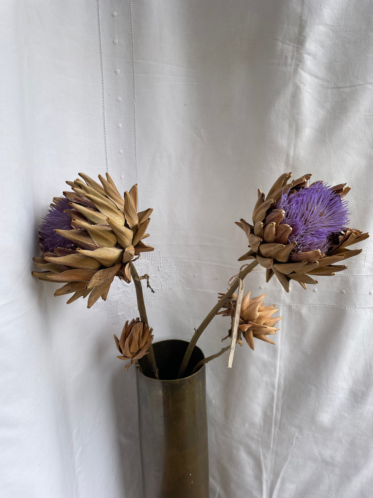 Dried Artichoke stem with buds - no. 6