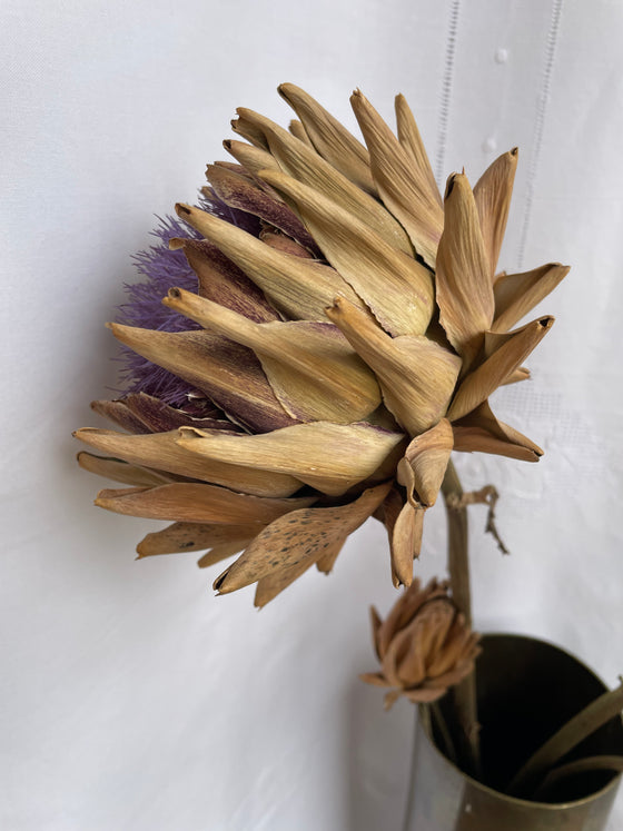 Dried Artichoke stem with buds - no. 6