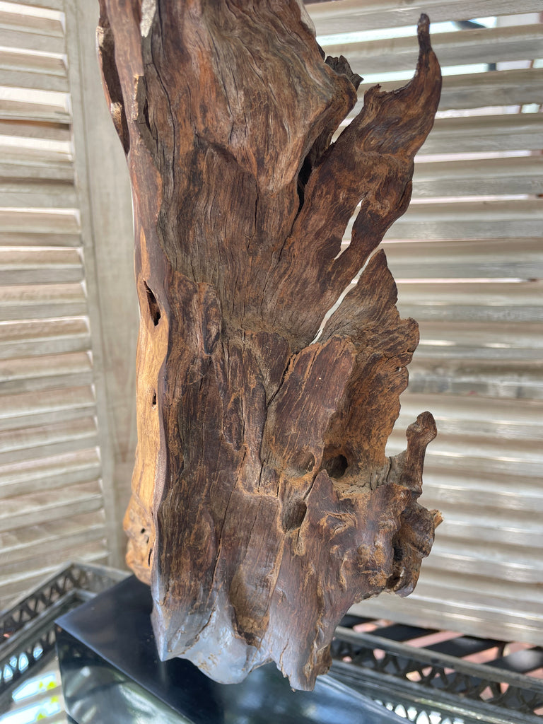 Natural Edge - Beeldhouwerk