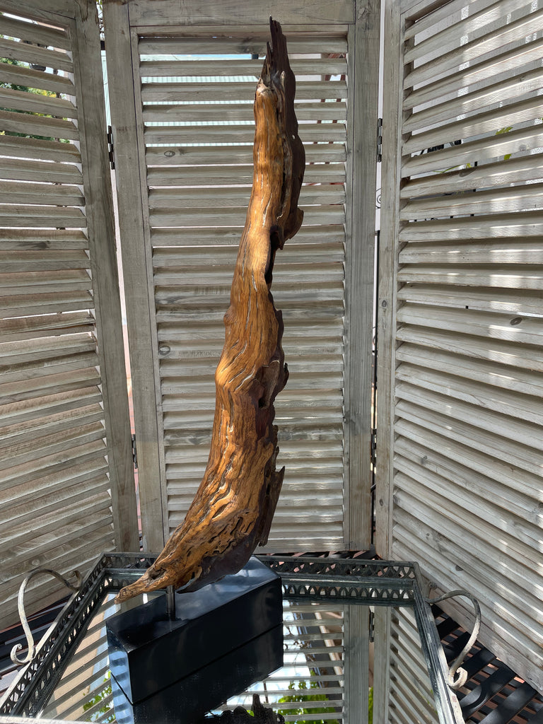 Natural Edge - Beeldhouwerk