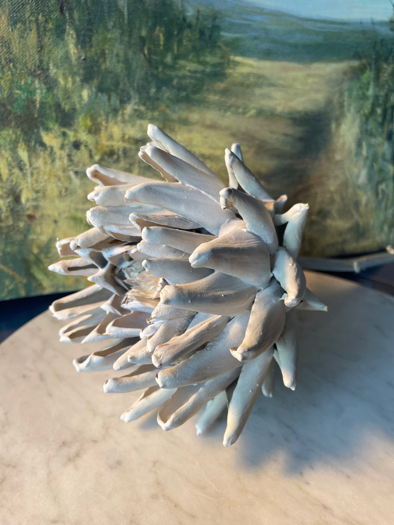 Forever Joy Artichoke - White bud, medium