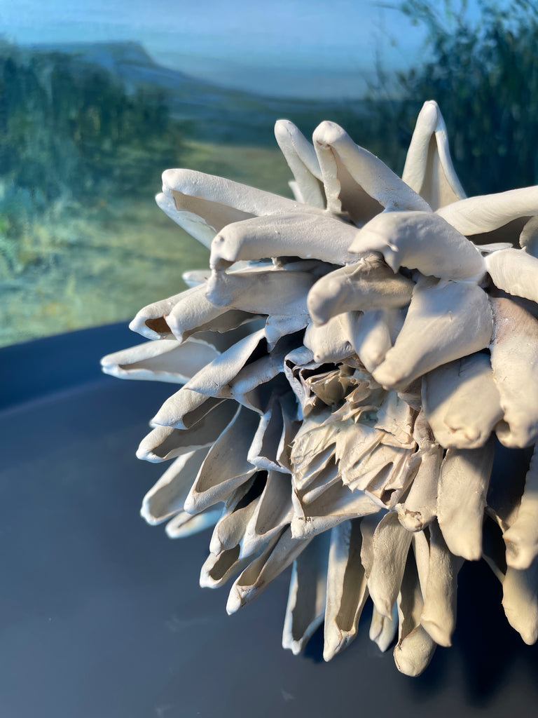 Forever Joy Artichoke - White bud, medium