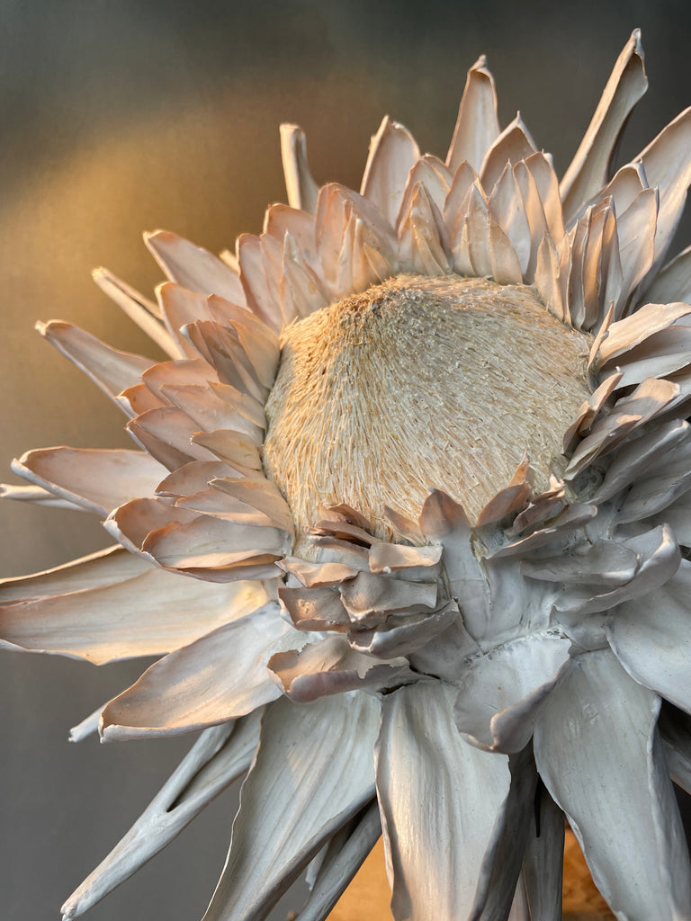 Forever Joy Artichoke - White Bloom, extra large