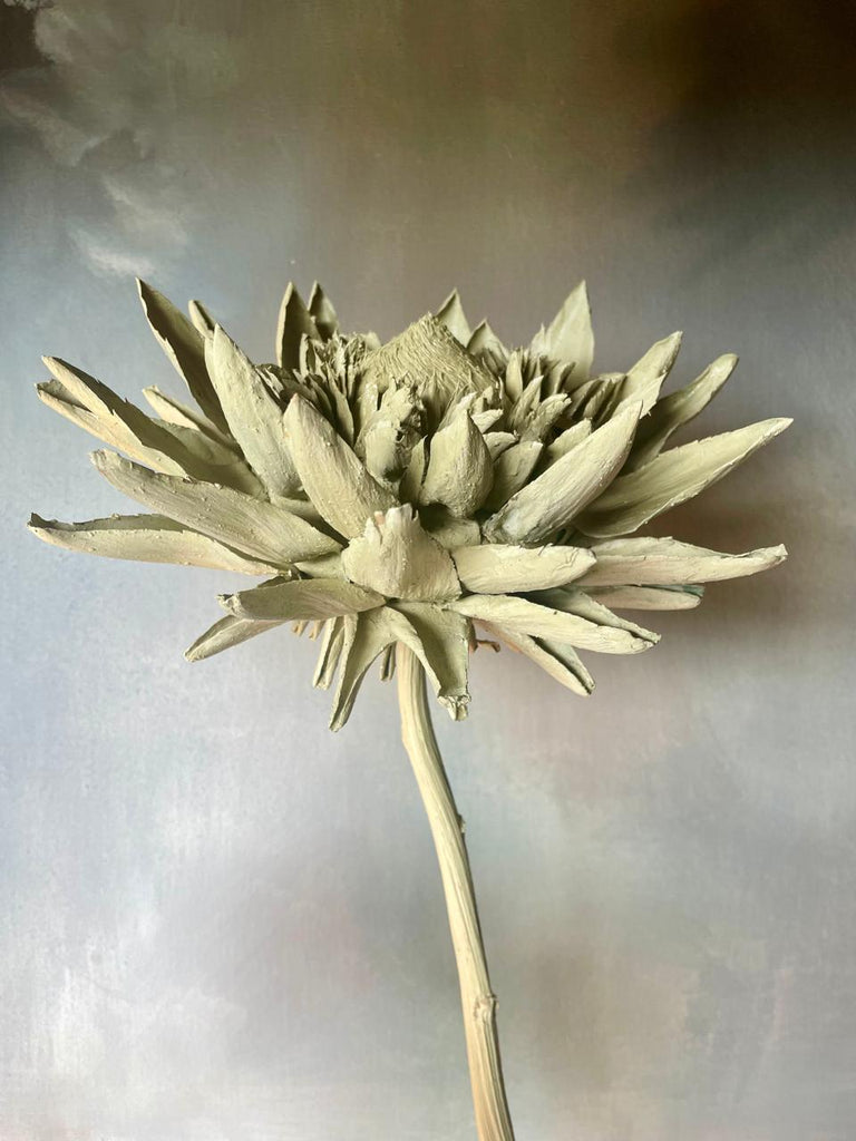 Forever Joy — Artichoke Sculpture, Quiet Awakening