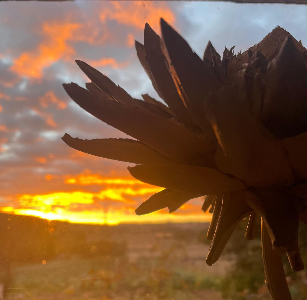 Forever Joy — Artichoke Sculpture, Quiet Awakening