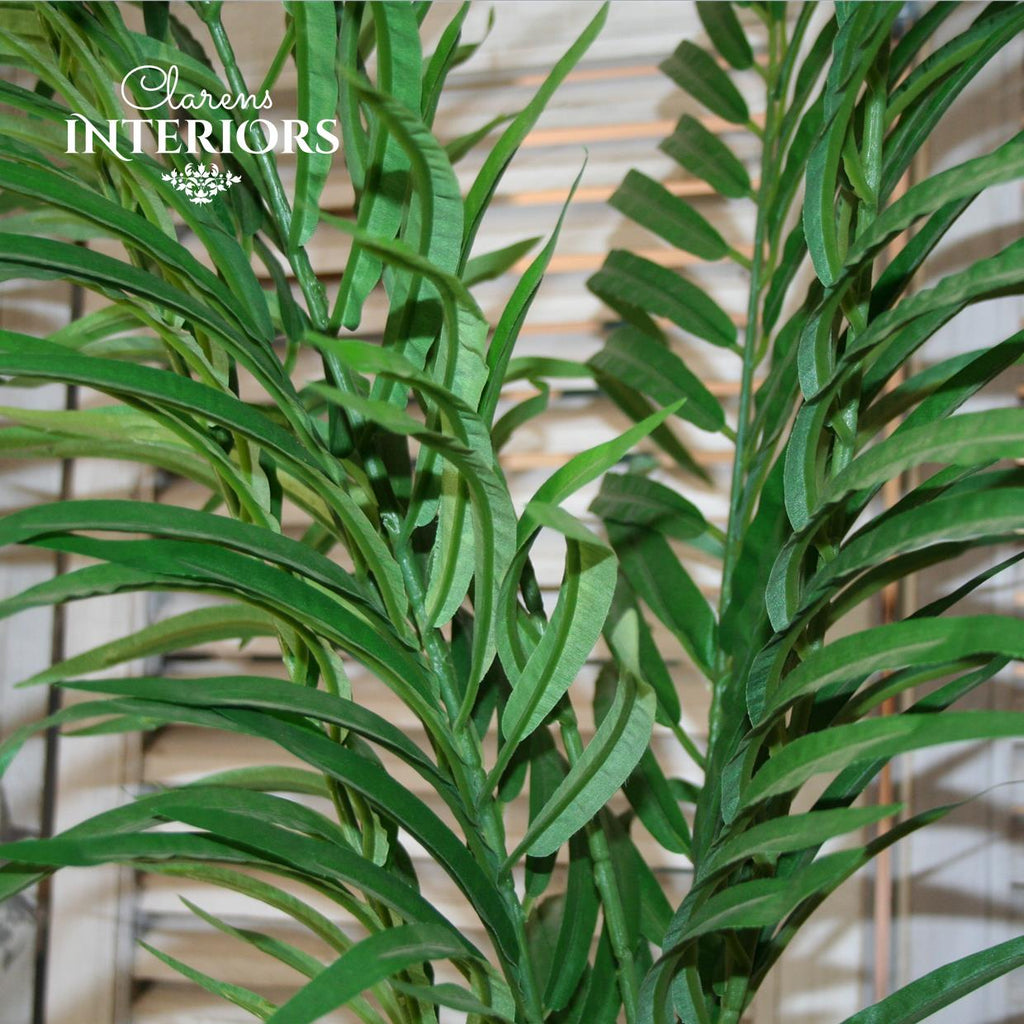 Small Palm Tree