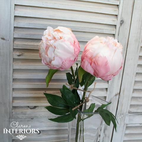 Peony Baby Pink