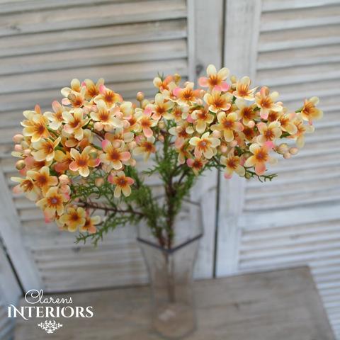 Wax Flower - Gold